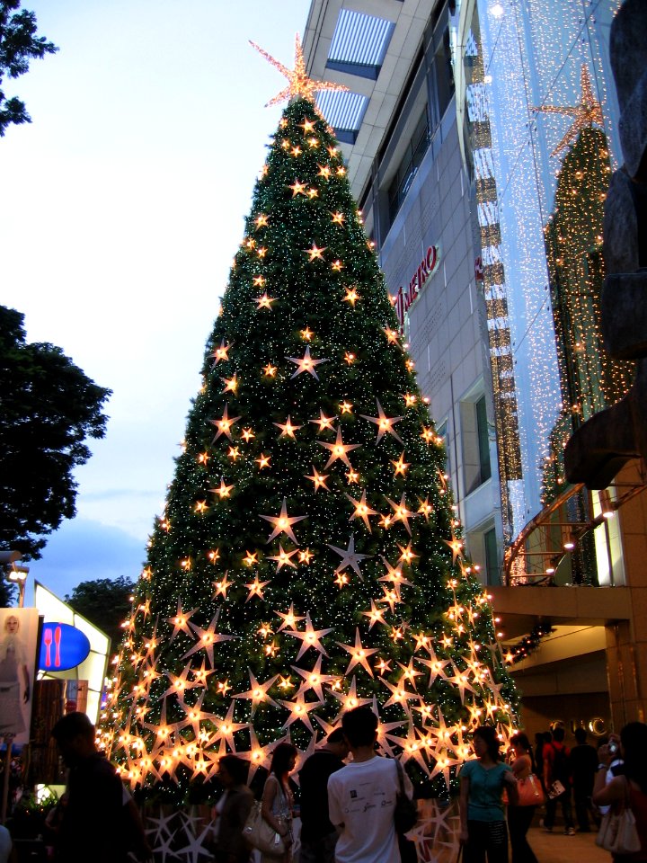 The Paragon 4, Xmas, Dec 06