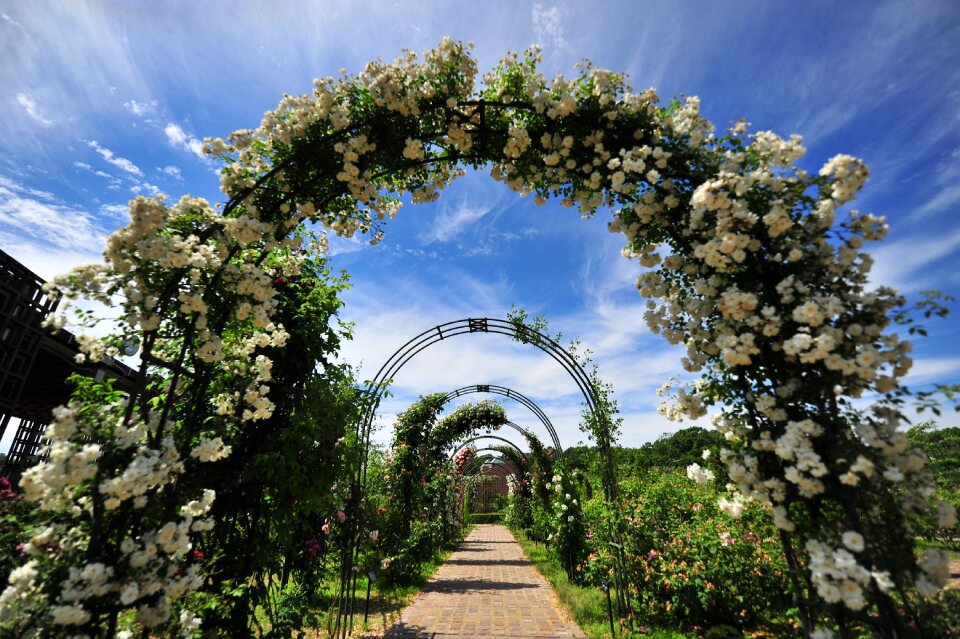 Arch blue sky cloud