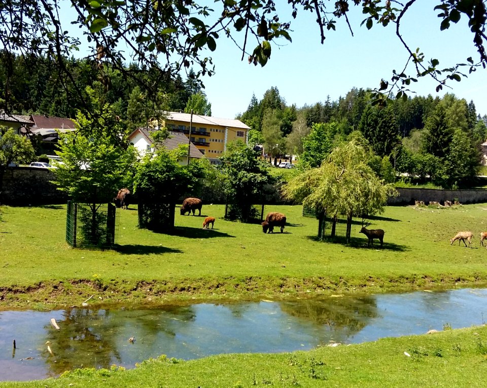 Tierpark Rosegg 5