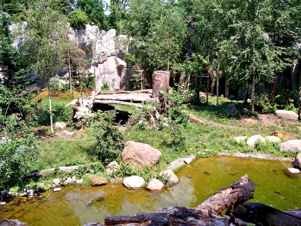 Tiger Taiga Leipzig Überblick