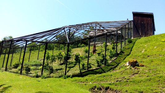 Tierpark Rosegg 2