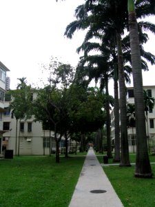Tiong Bahru 2, Jul 06