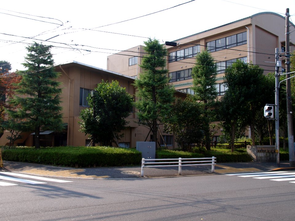 Tokyo Metropolitan Komaba High School