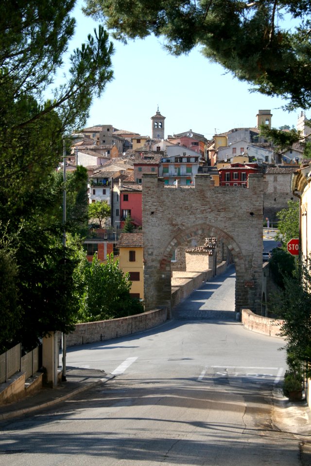 Tolentino