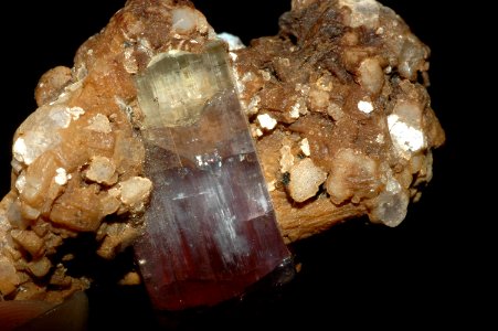 Tourmaline polychrome sur mica (Brésil)