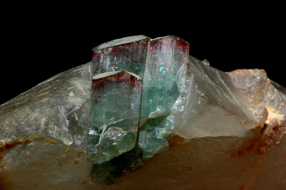 Tourmalines sur quartz (Brésil)