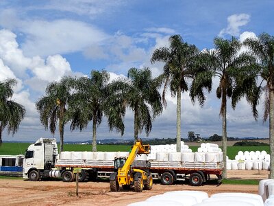 Truck palm trees tractor