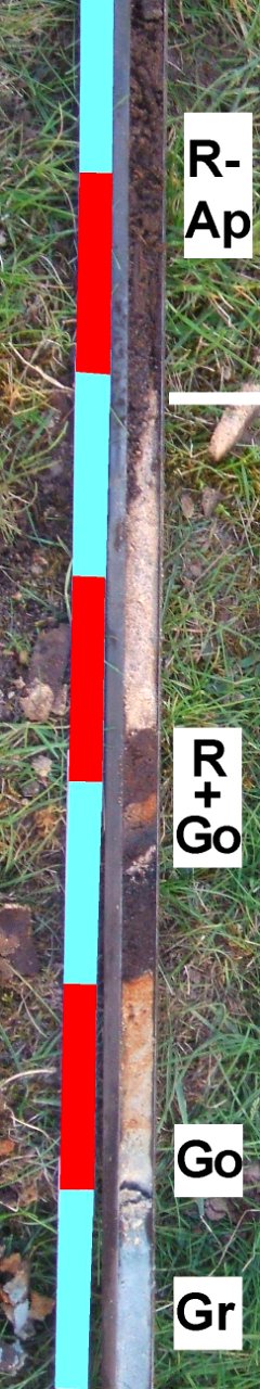 Treposol Bohrstockprofil