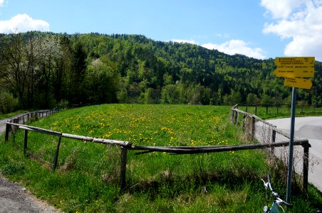 Tscheltschnigkogel, 696 m, Naturpark Dobratsch, Villach, Kärnten