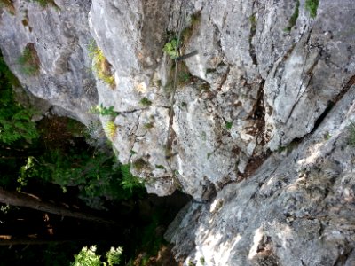 Türkenkopf-KS 4