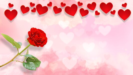 Heart romance valentine photo