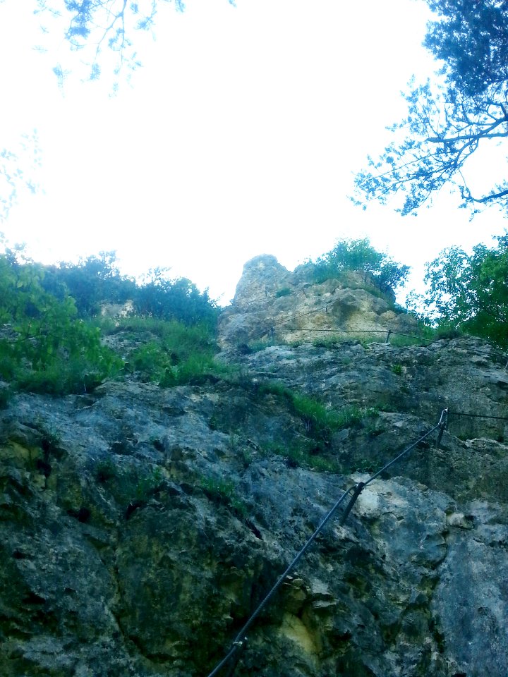 Türkenkopf-KS 7