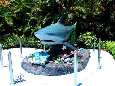 Underwater World, Singapore 3, Sentosa, Aug 06