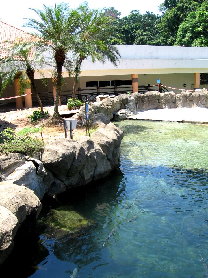 Underwater World, Singapore 2, Sentosa, Aug 06