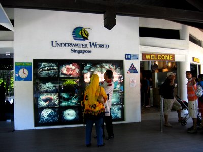 Underwater World, Singapore, Sentosa, Aug 06
