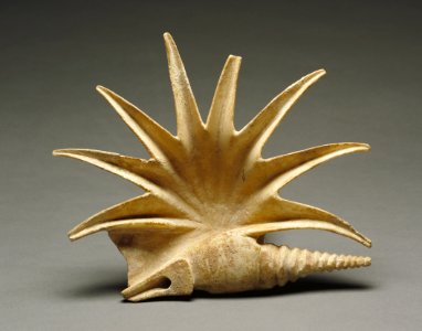 Unknown - Shell - 57.AA.6