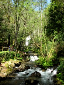 Vista do Parque da Cabreia