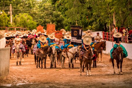 Passion tradition amazon