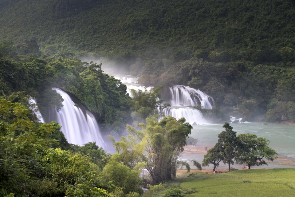 Environment flow forest