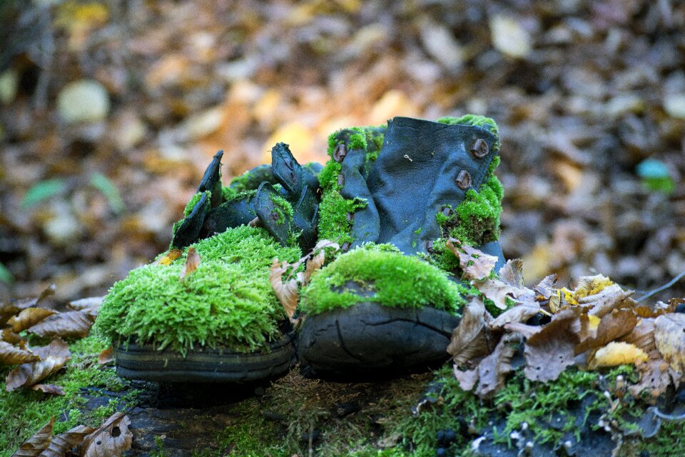 Old outdoor alpine boots