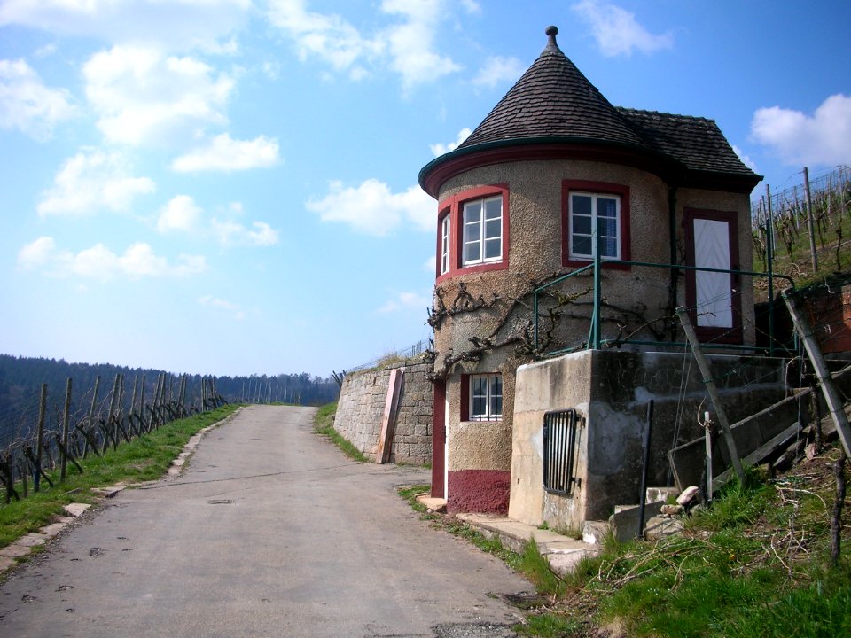 Weinberge Schorndorf