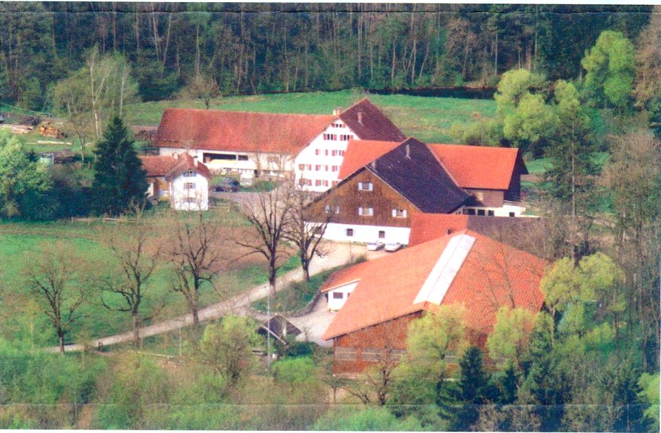 Weidachsmühle 2003 von Ost