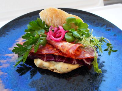 Salami italian pickled red onions