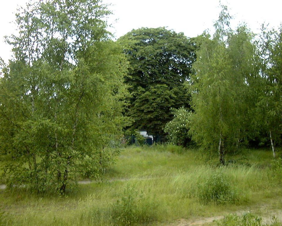 Wilhelmsruh-bahnhof-nbe-012
