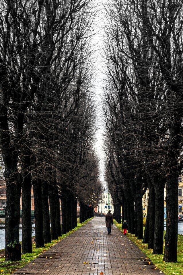 City saint-petersburg town