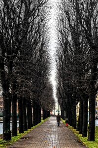 City saint-petersburg town