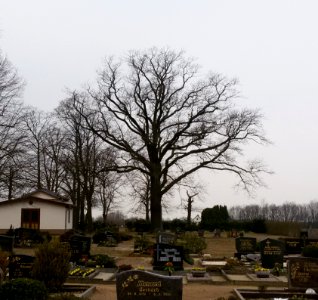 Zinnitz Friedhof