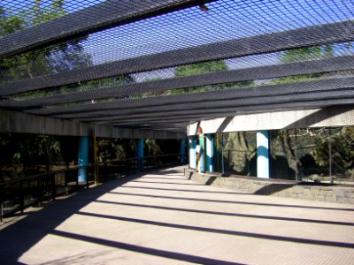 Zoo von Chapultepec