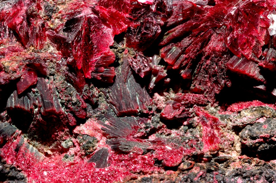 Érythrite (Maroc)