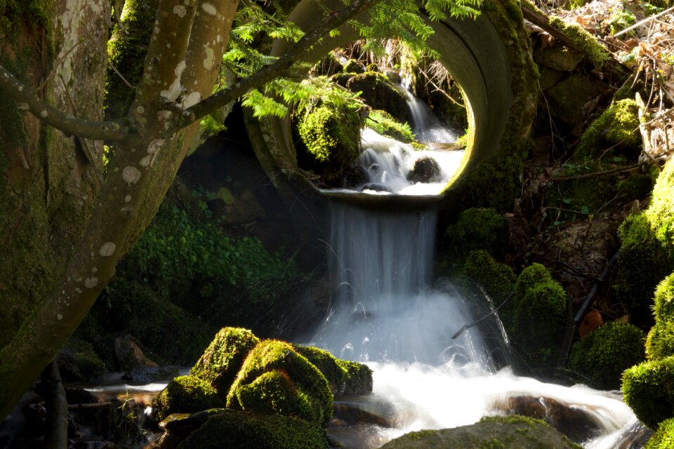 Nature river water