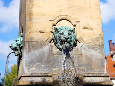 Historic center lion decorative fountains