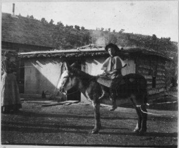 A Mesa Creek Valley rancher's daughter en route to school. The little girl on her burro takes leave of her mother for - NARA - 523021