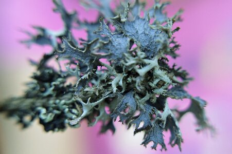 Macro detail abstraction