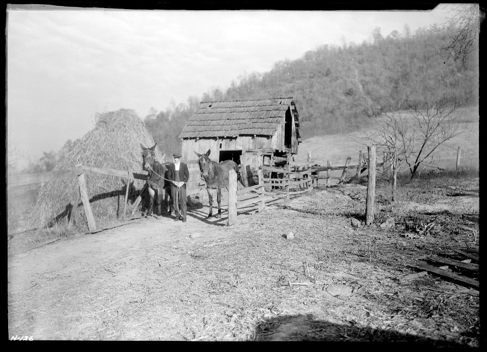 Another view of Gaines McGlothin, R. F. D. ^2, Kingsport, Tennessee. McGlothin is paying for his land as he works.... - NARA - 532744