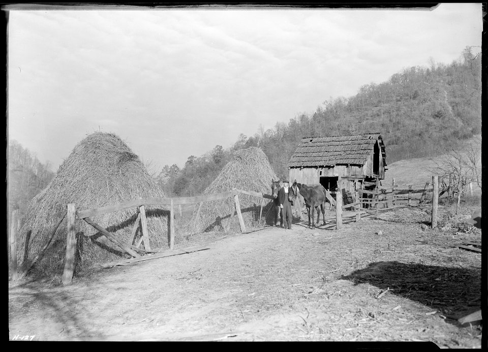Another view of Gaines McGlothin, R. F. D. ^2, Kingsport, Tennessee, on his farm. Note the steep hillside... - NARA - 532745