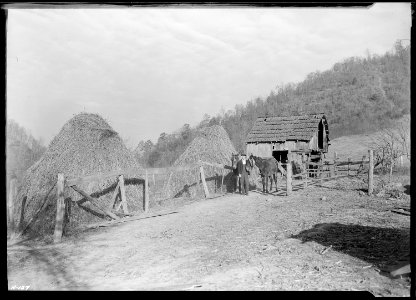 Another view of Gaines McGlothin, R. F. D. ^2, Kingsport, Tennessee, on his farm. Note the steep hillside... - NARA - 532745 photo