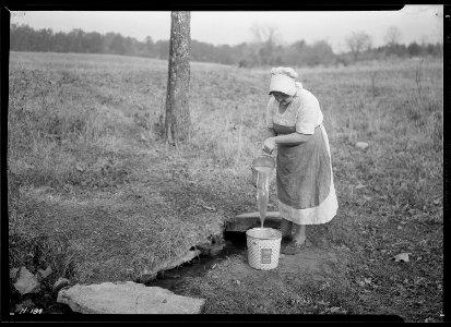 Another view of Mrs. Wallace on farm near Norris townsite recently purchased by the TVA for experimental purposes. - NARA - 532801