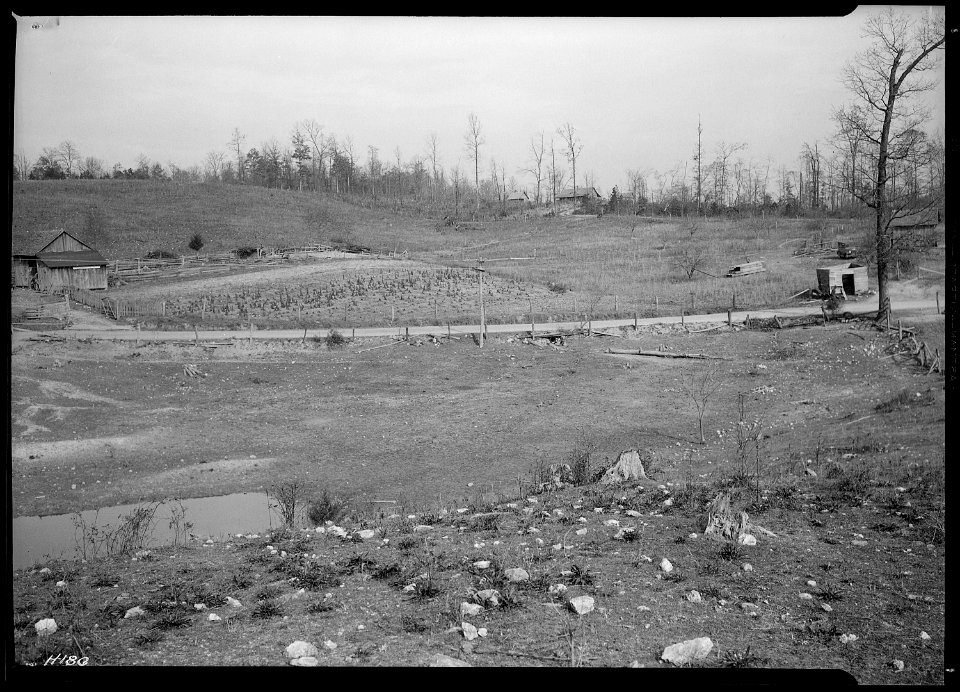 Another view of the farm land to be used by the TVA for a poultry and gardening demonstration center. The poultry... - NARA - 532797