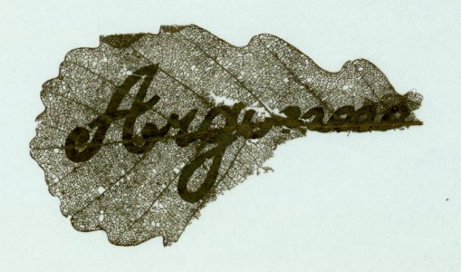 Argonne