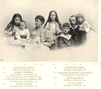 Karl Stephan Austria 1860 1933 family1896