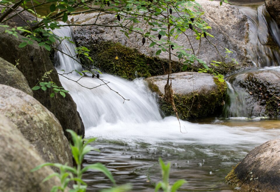 Nature landscape flow