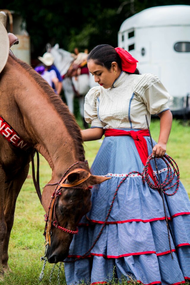 Horse trousseau amazon