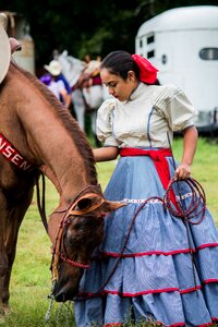 Horse trousseau amazon
