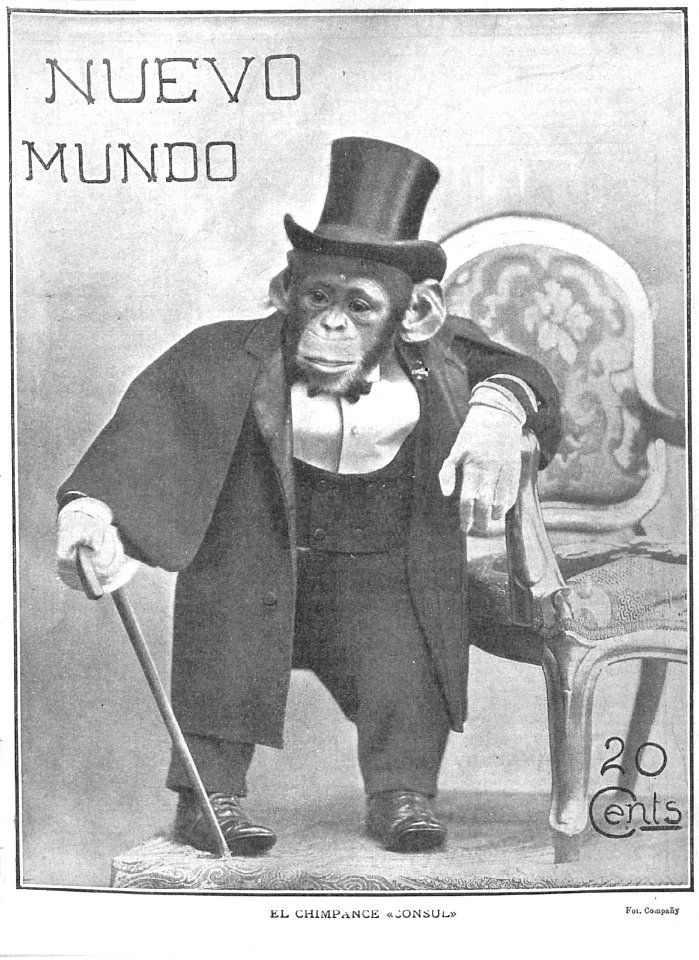 1905-02-02, Nuevo Mundo, El chimpancé cónsul, Compañy