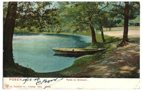 19061210 Posen Partie im Eichwald