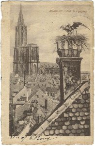 19070121 strassburg storchnest